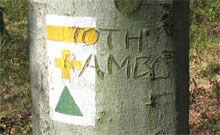 Tóth Rambo